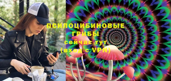 сатива Лагань