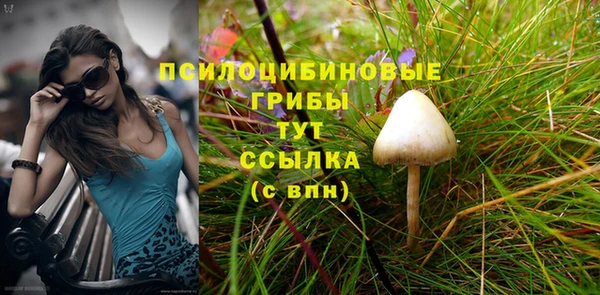 амфетамин Лабытнанги