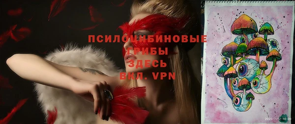 дживик Калининец