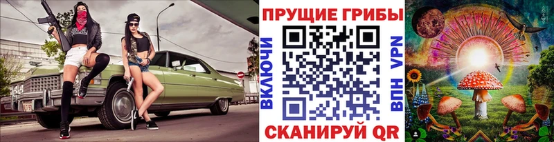 Псилоцибиновые грибы Magic Shrooms  Купить где  Краснокамск 